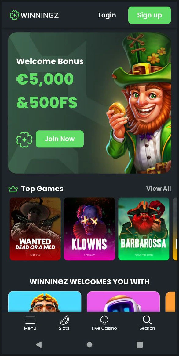 Compact overview of the main sections of Winningz